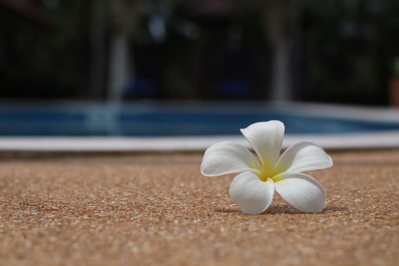 The Hillside Pranburi Resort Exteriör bild
